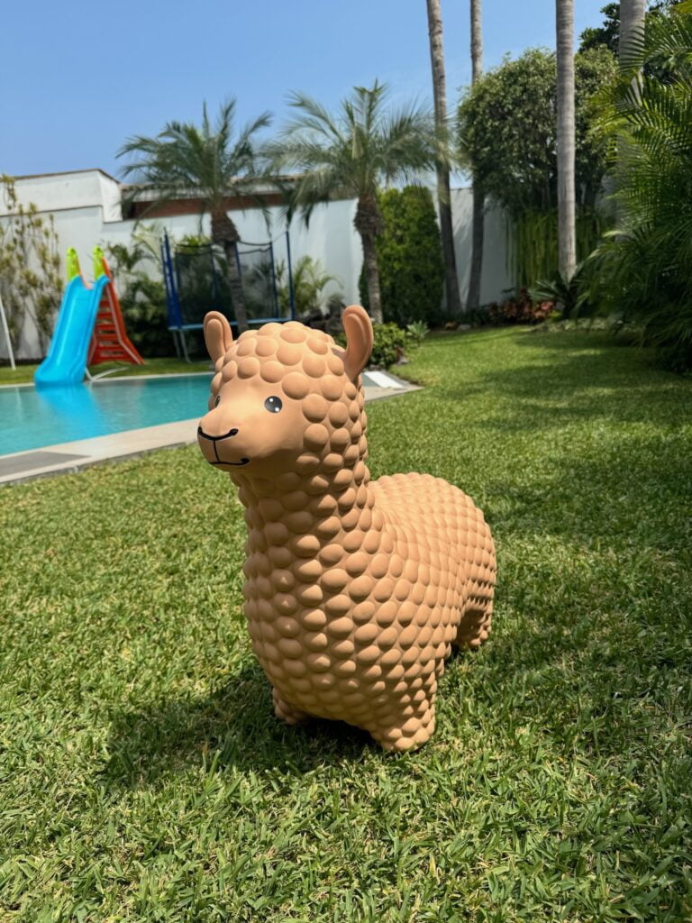Bouncer Llama - Imagen 3