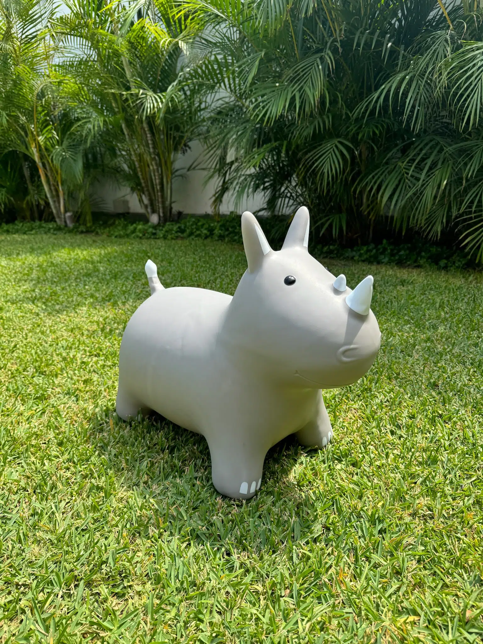 Bouncer Rino - Imagen 3